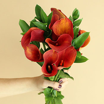 Mango Mini Callas Centerpieces